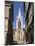 Church of Notre Dame, Dijon, Burgundy, France-Peter Thompson-Mounted Photographic Print