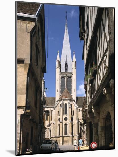 Church of Notre Dame, Dijon, Burgundy, France-Peter Thompson-Mounted Photographic Print