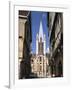 Church of Notre Dame, Dijon, Burgundy, France-Peter Thompson-Framed Photographic Print