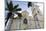 Church of Our Lady of Conception, Inhambane, Mozambique-Alida Latham-Mounted Photographic Print