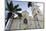 Church of Our Lady of Conception, Inhambane, Mozambique-Alida Latham-Mounted Photographic Print