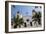 Church of Our Lady of the Remedies, Luanda, Angola-Alida Latham-Framed Photographic Print