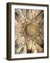 Church of Saint Sepulchre (13th Century), Torres Del Rio, Navarra, Spain-Ivan Vdovin-Framed Photographic Print