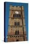 Church of San Jacopo, Cristoforo and Eligio, Bell Tower, Altopascio, Tuscany, Italy-null-Stretched Canvas