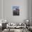 Church of San Martin, Trujillo, Caceres, Extremadura, Spain, Europe-Michael Snell-Photographic Print displayed on a wall