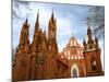 Church of St. Anne in Vilnius, Lithuania-Keren Su-Mounted Photographic Print