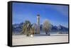 Church of St. Coloman and Tannheimer Alps near Schwangau, Allgau, Bavaria, Germany, Europe-Hans-Peter Merten-Framed Stretched Canvas