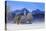 Church of St. Coloman and Tannheimer Alps near Schwangau, Allgau, Bavaria, Germany, Europe-Hans-Peter Merten-Stretched Canvas