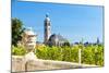 Church of St. James with Vineyard at Front, Kutna Hora, Czech Republic-phbcz-Mounted Photographic Print