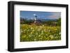 Church of the Assumption of the Blessed Virgin Mary in the Town of Muensing-null-Framed Art Print