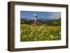 Church of the Assumption of the Blessed Virgin Mary in the Town of Muensing-null-Framed Art Print