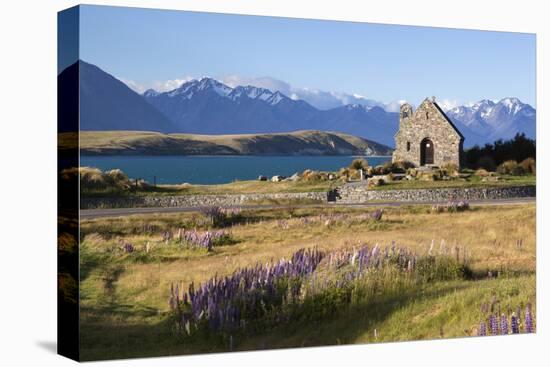 Church of the Good Shepherd, Lake Tekapo, Canterbury Region, South Island, New Zealand, Pacific-Stuart Black-Stretched Canvas