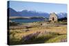 Church of the Good Shepherd, Lake Tekapo, Canterbury Region, South Island, New Zealand, Pacific-Stuart Black-Stretched Canvas