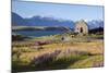 Church of the Good Shepherd, Lake Tekapo, Canterbury Region, South Island, New Zealand, Pacific-Stuart Black-Mounted Photographic Print