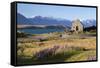 Church of the Good Shepherd, Lake Tekapo, Canterbury Region, South Island, New Zealand, Pacific-Stuart Black-Framed Stretched Canvas