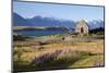 Church of the Good Shepherd, Lake Tekapo, Canterbury Region, South Island, New Zealand, Pacific-Stuart Black-Mounted Premium Photographic Print