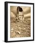 Church of the Redeemer, Ani Ruins, Kars, Eastern Turkey, Turkey-Jane Sweeney-Framed Photographic Print