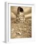 Church of the Redeemer, Ani Ruins, Kars, Eastern Turkey, Turkey-Jane Sweeney-Framed Photographic Print