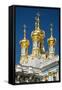 Church of the Resurrection, the Catherine Palace, Pushkin (Tsarskoye Selo)-Nadia Isakova-Framed Stretched Canvas