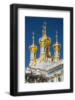 Church of the Resurrection, the Catherine Palace, Pushkin (Tsarskoye Selo)-Nadia Isakova-Framed Photographic Print