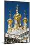 Church of the Resurrection, the Catherine Palace, Pushkin (Tsarskoye Selo)-Nadia Isakova-Mounted Photographic Print