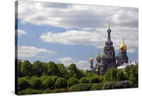 Church of the Spilled Blood and Trees, St. Petersburg, Russia-Kymri Wilt-Stretched Canvas