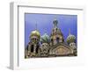 Church of the Spilled Blood, St. Petersburg, Russia-Kymri Wilt-Framed Photographic Print