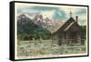 Church of the Transfiguration, Teton National Park-null-Framed Stretched Canvas