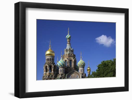 Church on Spilled Blood (Church of the Resurrection)-Peter Barritt-Framed Photographic Print