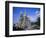 Church on Spilled Blood, Unesco World Heritage Site, St. Petersburg, Russia-Gavin Hellier-Framed Photographic Print