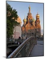Church on Spilled Blood, UNESCO World Heritage Site, St Petersburg, Russia-Martin Child-Mounted Photographic Print