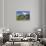 Church Overlooking Traunsee Lake, Traunkirchen, Upper Austria, Austria-Peter Adams-Stretched Canvas displayed on a wall