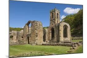 Church Ruin of the 14th Century Mount Grace Carthusian Priory, North Yorkshire, Yorkshire, England-James Emmerson-Mounted Photographic Print