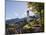 Church St. Johannes der Taufer. Village Grainau near Garmisch-Partenkirchen, Germany-Martin Zwick-Mounted Photographic Print