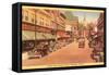 Church Street Business District, Burlington, Vermont-null-Framed Stretched Canvas