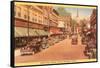 Church Street Business District, Burlington, Vermont-null-Framed Stretched Canvas