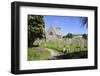 Church, Tresco, Isles of Scilly, Cornwall, United Kingdom, Europe-Robert Harding-Framed Photographic Print