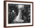 Brown Frame