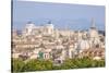 Churches and Domes of the Rome Skyline Showing Victor Emmanuel Ii Monument in the Distance, Rome-Neale Clark-Stretched Canvas