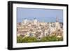 Churches and Domes of the Rome Skyline Showing Victor Emmanuel Ii Monument in the Distance, Rome-Neale Clark-Framed Photographic Print