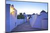 Churches at Dusk with the Monastery of St. John in the Background, Patmos, Dodecanese-Neil Farrin-Mounted Photographic Print