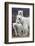 Churchill Polar Bears-Art Wolfe-Framed Art Print