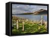 Churchyard, Achill Island, Off the Coast of County Mayo, Republic of Ireland, Europe-David Wogan-Framed Stretched Canvas