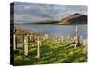 Churchyard, Achill Island, Off the Coast of County Mayo, Republic of Ireland, Europe-David Wogan-Stretched Canvas