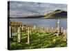 Churchyard, Achill Island, Off the Coast of County Mayo, Republic of Ireland, Europe-David Wogan-Stretched Canvas