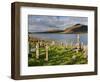 Churchyard, Achill Island, Off the Coast of County Mayo, Republic of Ireland, Europe-David Wogan-Framed Photographic Print