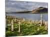 Churchyard, Achill Island, Off the Coast of County Mayo, Republic of Ireland, Europe-David Wogan-Mounted Photographic Print