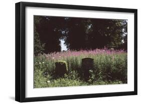 Churchyard, St Michael and All Angels, Great Tew, Oxfordshire, England-Simon Marsden-Framed Giclee Print