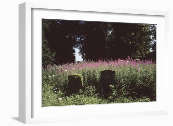 Churchyard, St Michael and All Angels, Great Tew, Oxfordshire, England-Simon Marsden-Framed Giclee Print