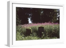 Churchyard, St Michael and All Angels, Great Tew, Oxfordshire, England-Simon Marsden-Framed Giclee Print